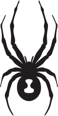 SPYDER